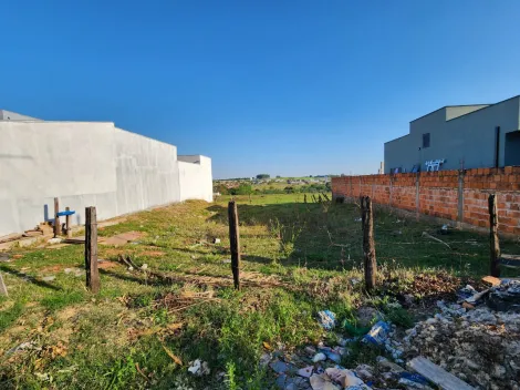 Comprar Terreno / Padr&atilde;o em Cedral R$ 96.000,00 - Foto 2