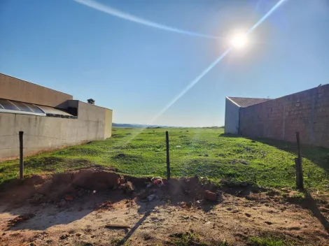 Comprar Terreno / Padr&atilde;o em Cedral R$ 96.000,00 - Foto 4