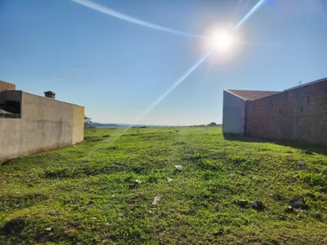 Comprar Terreno / Padr&atilde;o em Cedral R$ 96.000,00 - Foto 5