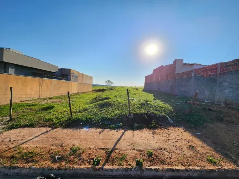 Comprar Terreno / Padr&atilde;o em Cedral R$ 96.000,00 - Foto 2