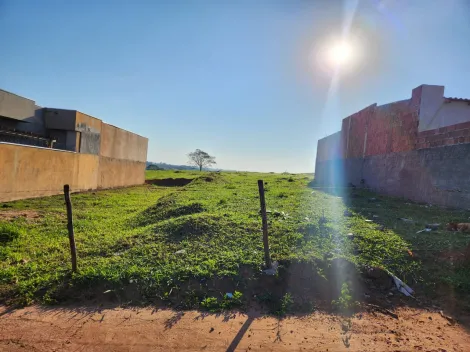 Comprar Terreno / Padr&atilde;o em Cedral R$ 96.000,00 - Foto 3