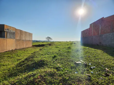 Comprar Terreno / Padr&atilde;o em Cedral R$ 96.000,00 - Foto 4