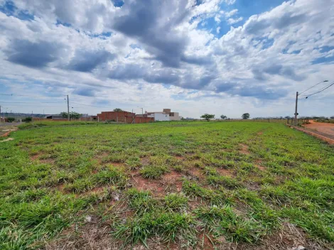 Comprar Terreno / Padr&atilde;o em Mirassol R$ 1.210.000,00 - Foto 5