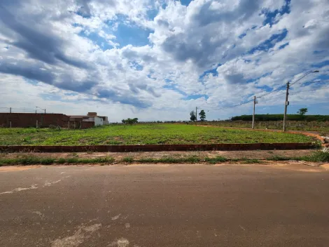 Comprar Terreno / Padr&atilde;o em Mirassol R$ 1.210.000,00 - Foto 8