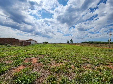 Comprar Terreno / Padr&atilde;o em Mirassol R$ 1.210.000,00 - Foto 9