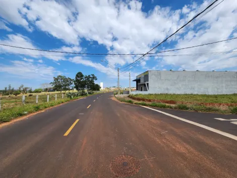 Comprar Terreno / Padr&atilde;o em Mirassol R$ 1.210.000,00 - Foto 10