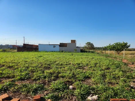 Comprar Terreno / Padr&atilde;o em Mirassol R$ 1.210.000,00 - Foto 12
