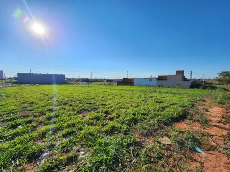 Comprar Terreno / Padr&atilde;o em Mirassol R$ 1.210.000,00 - Foto 16