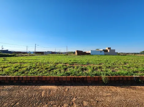 Comprar Terreno / Padr&atilde;o em Mirassol R$ 1.210.000,00 - Foto 17
