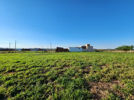 Comprar Terreno / Padr&atilde;o em Mirassol R$ 1.210.000,00 - Foto 18