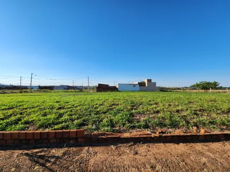 Comprar Terreno / Padr&atilde;o em Mirassol R$ 1.210.000,00 - Foto 19