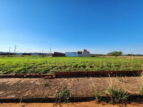 Comprar Terreno / Padr&atilde;o em Mirassol R$ 1.210.000,00 - Foto 20
