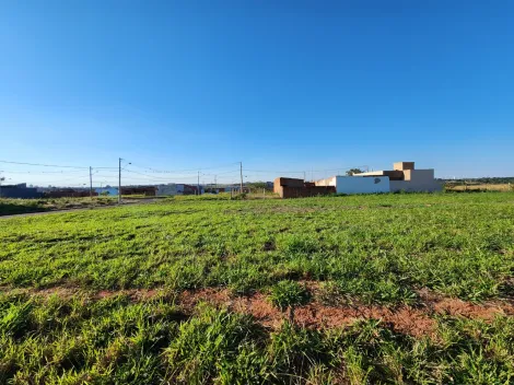 Comprar Terreno / Padr&atilde;o em Mirassol R$ 1.210.000,00 - Foto 21