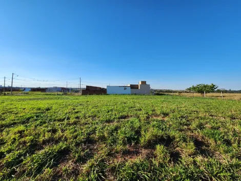 Comprar Terreno / Padr&atilde;o em Mirassol R$ 1.210.000,00 - Foto 22