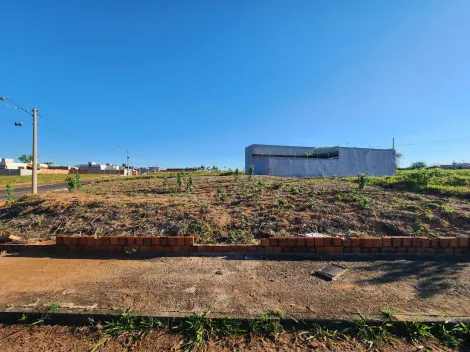 Comprar Terreno / Padr&atilde;o em Mirassol R$ 222.500,00 - Foto 2
