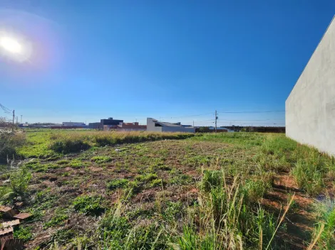 Comprar Terreno / Padr&atilde;o em Mirassol R$ 510.000,00 - Foto 2