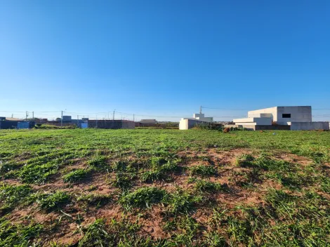 Comprar Terreno / Padr&atilde;o em Mirassol R$ 500.000,00 - Foto 2