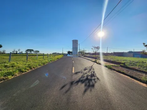 Comprar Terreno / Padr&atilde;o em Mirassol R$ 500.000,00 - Foto 3