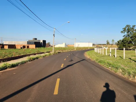 Comprar Terreno / Padr&atilde;o em Mirassol R$ 500.000,00 - Foto 5