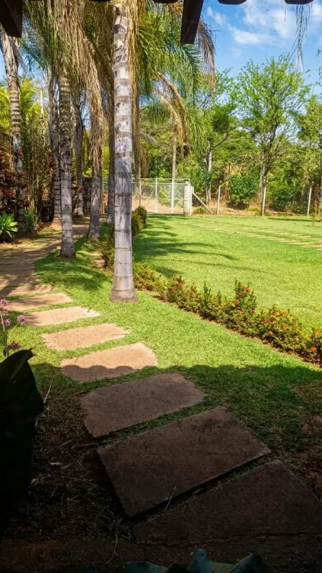 Comprar Rural / Ch&aacute;cara em Cedral R$ 950.000,00 - Foto 3