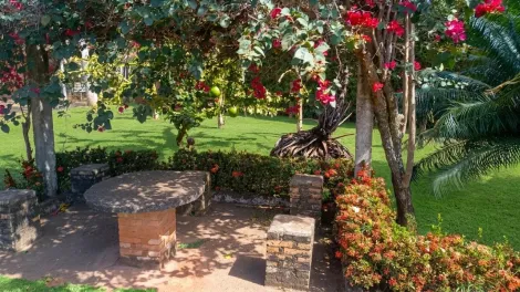 Comprar Rural / Ch&aacute;cara em Cedral R$ 950.000,00 - Foto 23