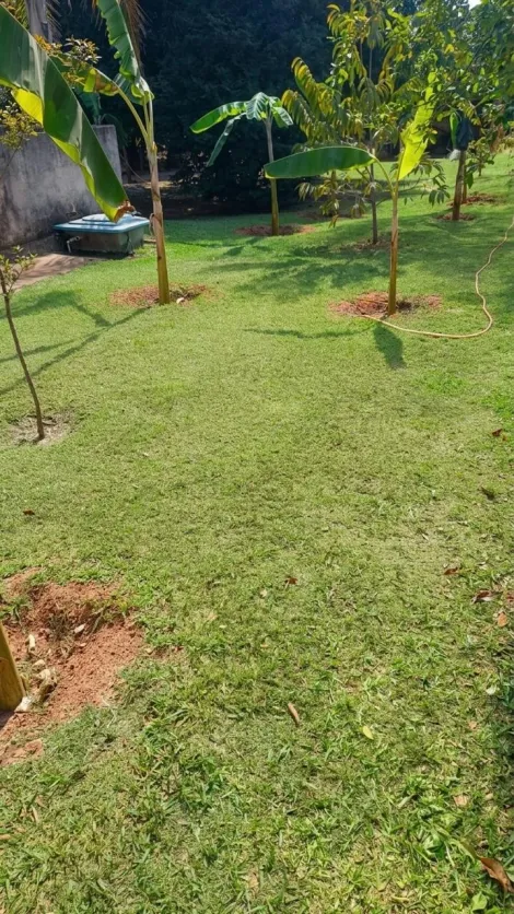 Comprar Rural / Ch&aacute;cara em Cedral R$ 950.000,00 - Foto 24