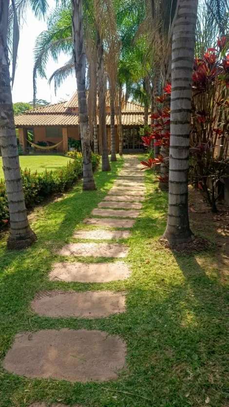 Comprar Rural / Ch&aacute;cara em Cedral R$ 950.000,00 - Foto 4