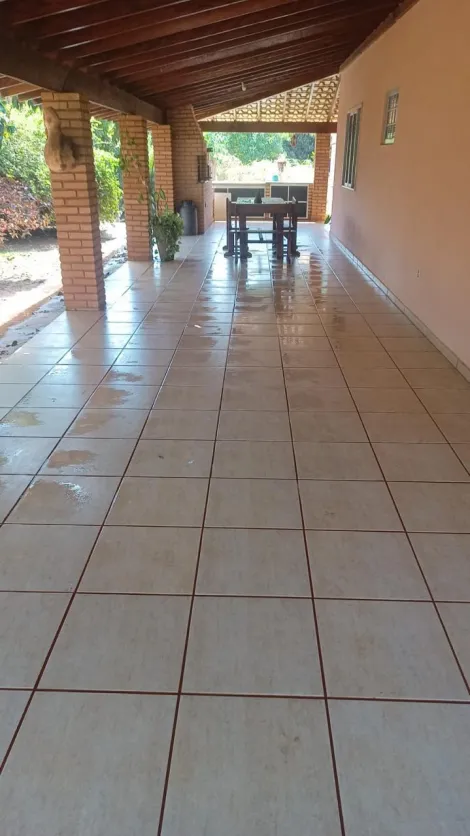 Comprar Rural / Ch&aacute;cara em Cedral R$ 950.000,00 - Foto 5