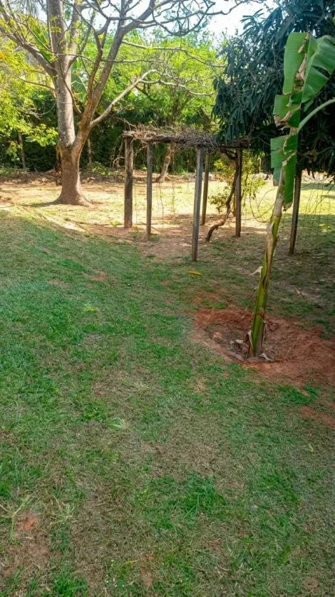 Comprar Rural / Ch&aacute;cara em Cedral R$ 950.000,00 - Foto 25