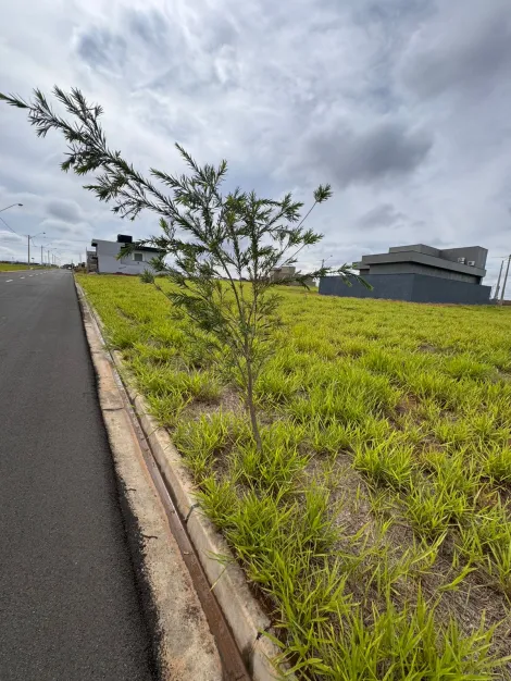 Terreno / Condom&iacute;nio em S&atilde;o Jos&eacute; do Rio Preto 