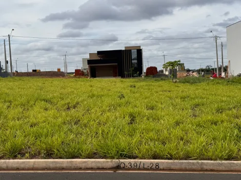 Comprar Terreno / Condom&iacute;nio em S&atilde;o Jos&eacute; do Rio Preto R$ 350.000,00 - Foto 5