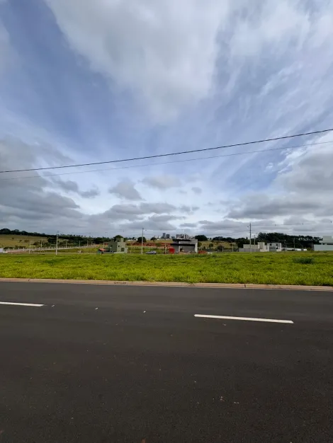 Comprar Terreno / Condom&iacute;nio em S&atilde;o Jos&eacute; do Rio Preto R$ 350.000,00 - Foto 6