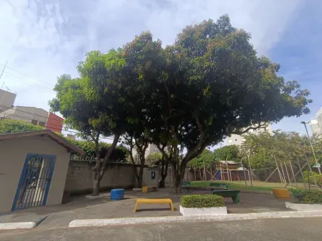 Comprar Apartamento / Padr&atilde;o em S&atilde;o Jos&eacute; do Rio Preto R$ 160.000,00 - Foto 9