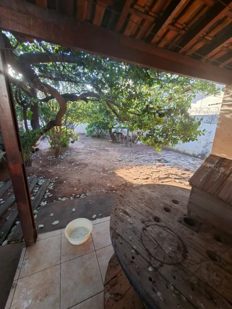 Comprar Casa / Padr&atilde;o em S&atilde;o Jos&eacute; do Rio Preto R$ 2.500.000,00 - Foto 30