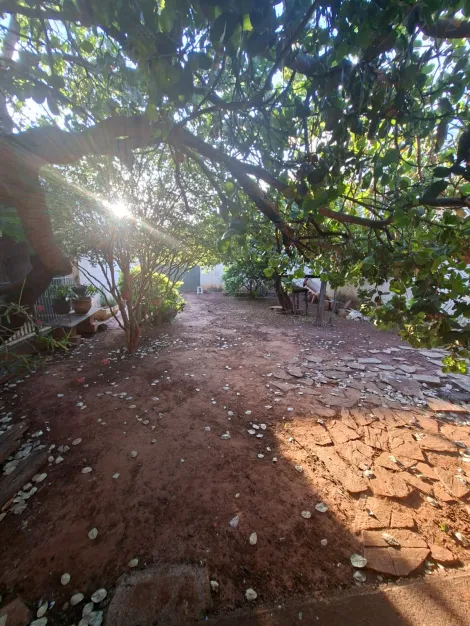 Comprar Casa / Padr&atilde;o em S&atilde;o Jos&eacute; do Rio Preto R$ 2.500.000,00 - Foto 31