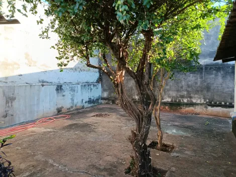 Alugar Casa / Padr&atilde;o em S&atilde;o Jos&eacute; do Rio Preto R$ 1.800,00 - Foto 11