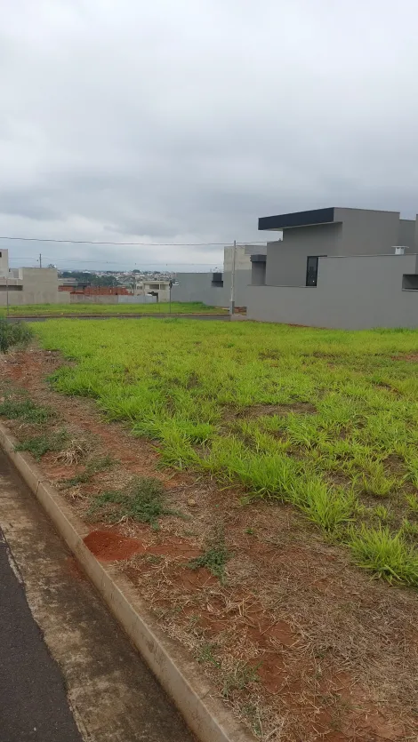 Comprar Terreno / Condom&iacute;nio em S&atilde;o Jos&eacute; do Rio Preto R$ 470.000,00 - Foto 5