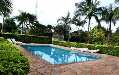 Alugar Rural / Ch&aacute;cara em Bady Bassitt R$ 3.500,00 - Foto 3