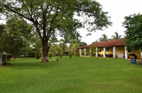 Alugar Rural / Ch&aacute;cara em Bady Bassitt R$ 3.500,00 - Foto 5