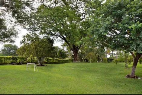 Alugar Rural / Ch&aacute;cara em Bady Bassitt R$ 3.500,00 - Foto 6