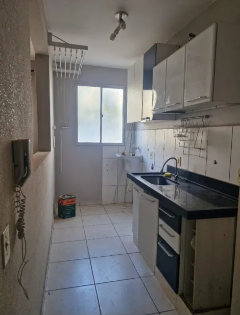 Alugar Apartamento / Padr&atilde;o em S&atilde;o Jos&eacute; do Rio Preto. apenas R$ 1.200,00