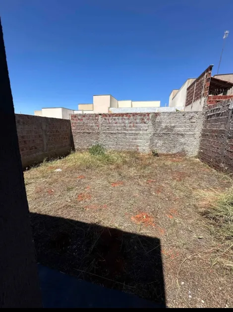 Alugar Casa / Padr&atilde;o em Bady Bassitt R$ 1.200,00 - Foto 6