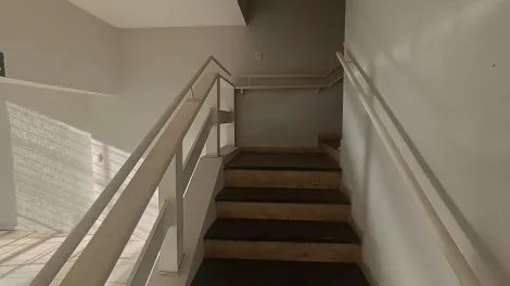 Alugar Comercial / Pr&eacute;dio Inteiro em S&atilde;o Jos&eacute; do Rio Preto R$ 10.500,00 - Foto 5