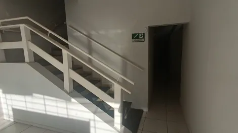 Alugar Comercial / Pr&eacute;dio Inteiro em S&atilde;o Jos&eacute; do Rio Preto R$ 10.500,00 - Foto 6