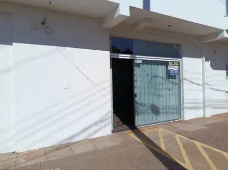 Comercial / Sal&atilde;o em S&atilde;o Jos&eacute; do Rio Preto 