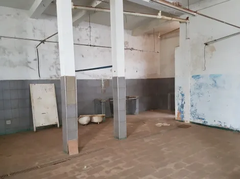 Alugar Comercial / Sal&atilde;o em S&atilde;o Jos&eacute; do Rio Preto R$ 2.000,00 - Foto 2