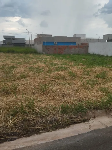Alugar Terreno / Padr&atilde;o em S&atilde;o Jos&eacute; do Rio Preto. apenas R$ 130.000,00