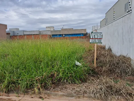 Comprar Terreno / Padr&atilde;o em S&atilde;o Jos&eacute; do Rio Preto R$ 130.000,00 - Foto 4