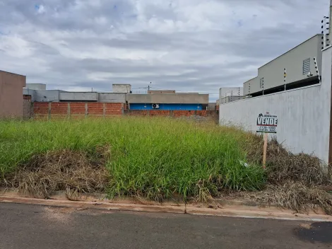 Comprar Terreno / Padr&atilde;o em S&atilde;o Jos&eacute; do Rio Preto R$ 130.000,00 - Foto 6