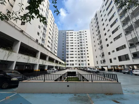 Alugar Apartamento / Padr&atilde;o em S&atilde;o Jos&eacute; do Rio Preto R$ 2.500,00 - Foto 21